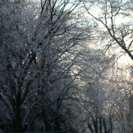 Sunday's sunrise