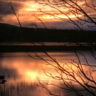 Sunset 11/14/2009