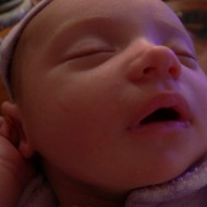 sleeping Tess