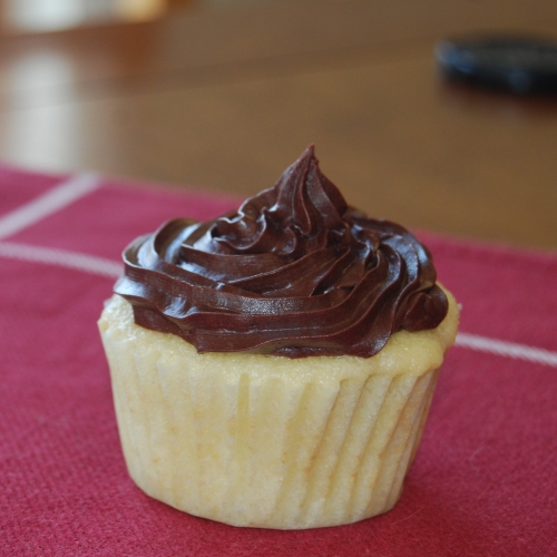 classic butter cake cupcake