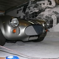 Cobra nose after