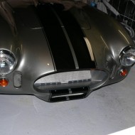 Cobra nose after