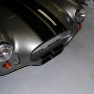 Cobra nose after