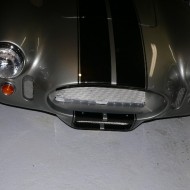 Cobra nose after
