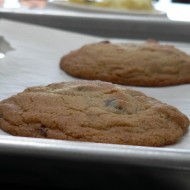 chocolate chip cookies