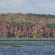 Autumn colors